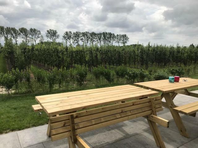 Hoeve Oude Tol Zuidzande Exterior foto